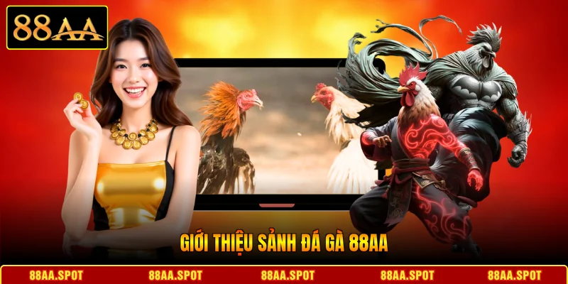 Giới thiệu sảnh Đá gà 88AA 