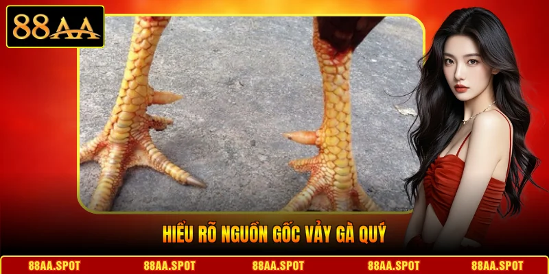Hiểu rõ nguồn gốc vảy gà quý