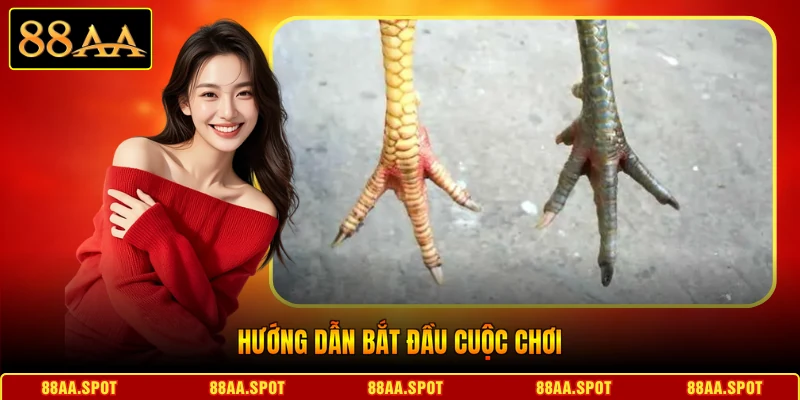 Hướng dẫn bắt đầu cuộc chơi 