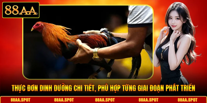 Thực đơn dinh dưỡng chi tiết, phù hợp từng giai đoạn phát triển